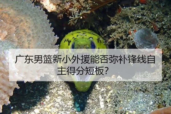 广东男篮新小外援能否弥补锋线自主得分短板？